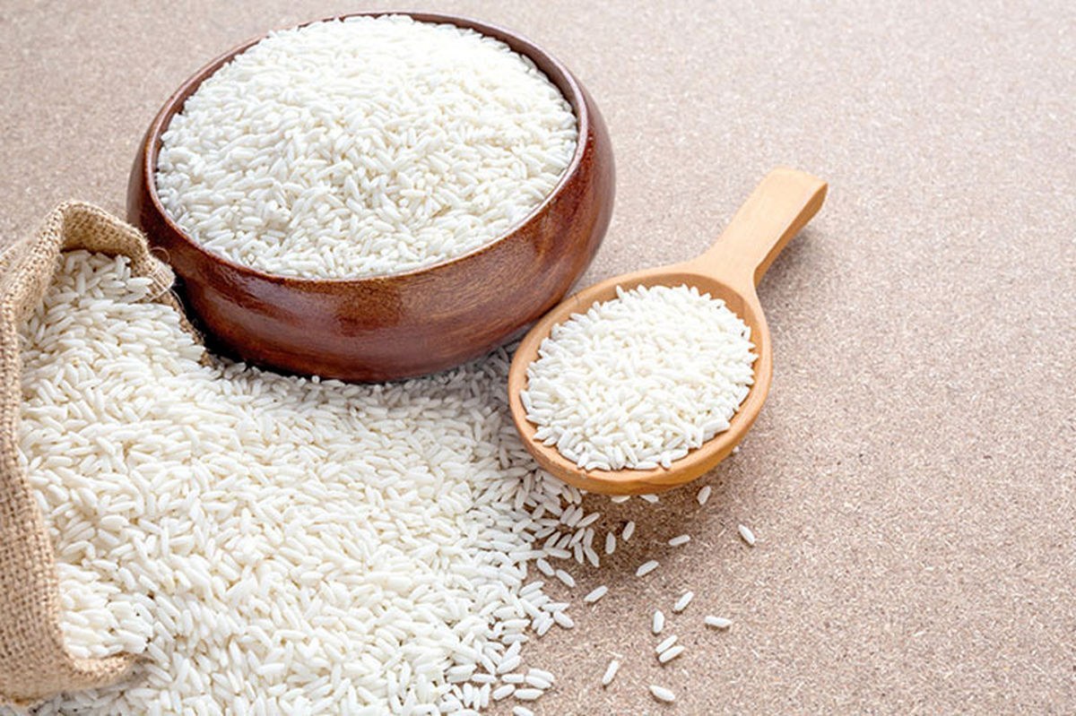 شالیکوبی سید در لاهیجان؛ تضمین کیفیت و دانه‌بندی عالی